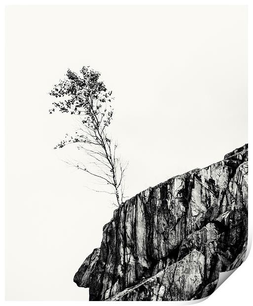  lone tree on the edge Print by Stephen Giles