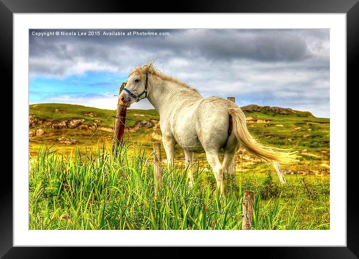  The White Horse Framed Mounted Print by Nicola Lee
