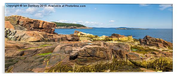  Acadia Rocks Acrylic by Ian Danbury