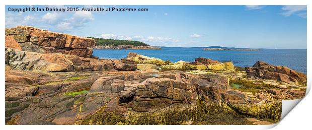  Acadia Rocks Print by Ian Danbury
