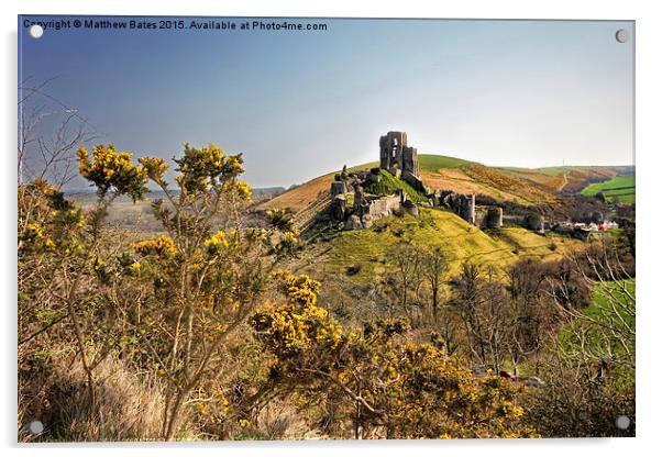 Corfe Castle view Acrylic by Matthew Bates