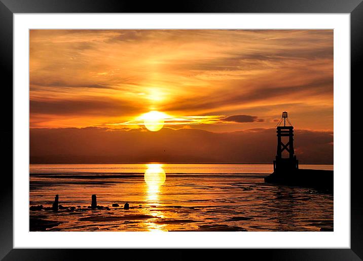  golden reflections Framed Mounted Print by sue davies