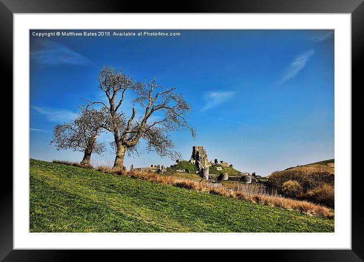  Corfe Castle through the trees Framed Mounted Print by Matthew Bates