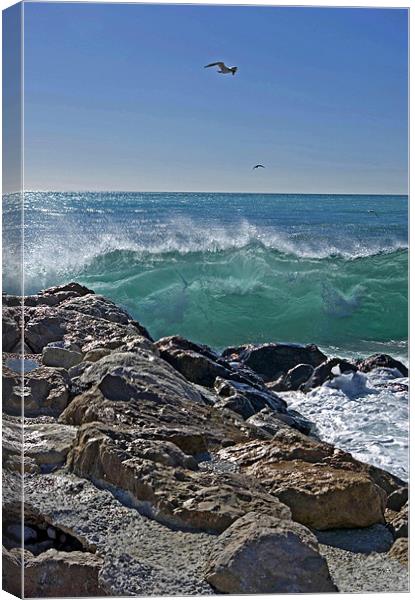 Nice wave Canvas Print by Alan Pickersgill