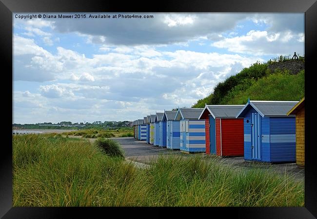  Pakefield  Beach Huts Framed Print by Diana Mower