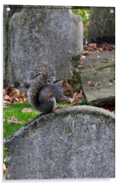  Graveyard Squirrel Acrylic by anna collins