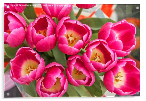 easter tulips Acrylic by Sebastien Coell