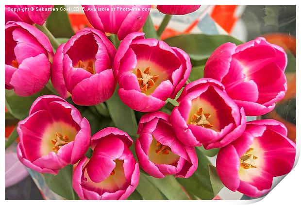 easter tulips Print by Sebastien Coell
