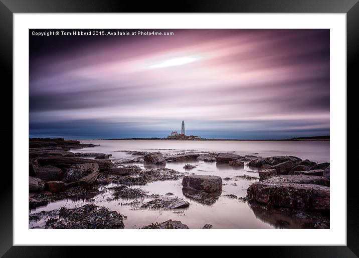  Streaking past St Mary's Lighthouse Framed Mounted Print by Tom Hibberd