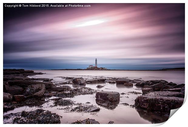  Streaking past St Mary's Lighthouse Print by Tom Hibberd