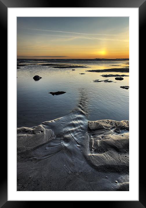 Break Free! Framed Mounted Print by Martin Williams