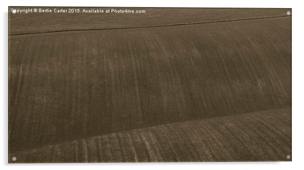 Rolling brown hills Acrylic by Bertie Carter