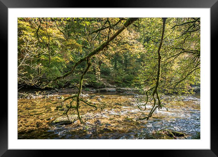  A peaceful scene at Tarr Steps woods Framed Mounted Print by Sue Knight