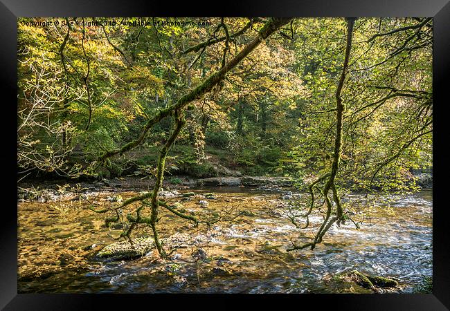  A peaceful scene at Tarr Steps woods Framed Print by Sue Knight