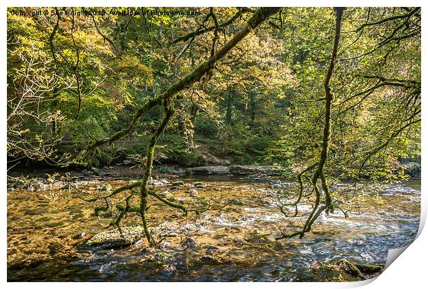  A peaceful scene at Tarr Steps woods Print by Sue Knight