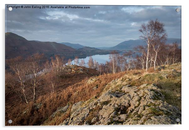  Birches over Keswick Acrylic by John Ealing