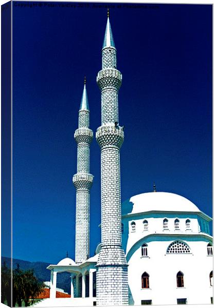  Turkish Mosque Canvas Print by Peter Yardley