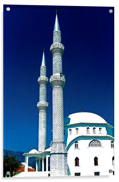  Turkish Mosque Acrylic by Peter Yardley