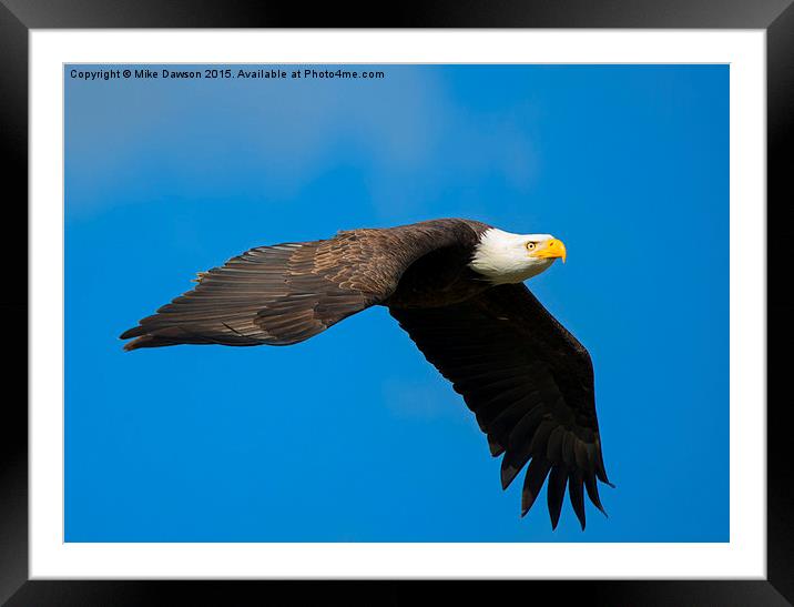 Flaps Down Framed Mounted Print by Mike Dawson