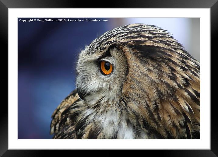  Eagle Owl II Framed Mounted Print by Craig Williams