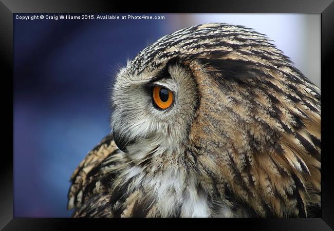  Eagle Owl II Framed Print by Craig Williams