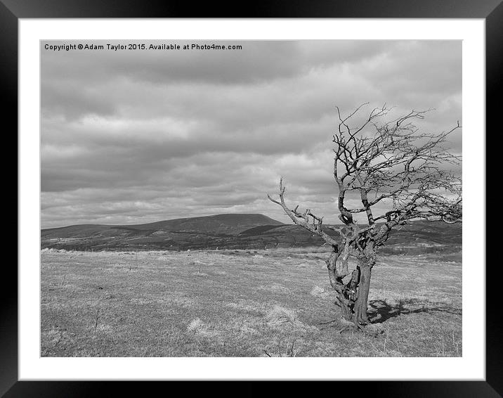  Pendle hill Framed Mounted Print by Adam Taylor