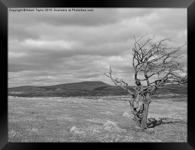  Pendle hill Framed Print by Adam Taylor
