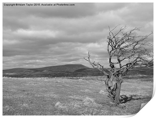  Pendle hill Print by Adam Taylor