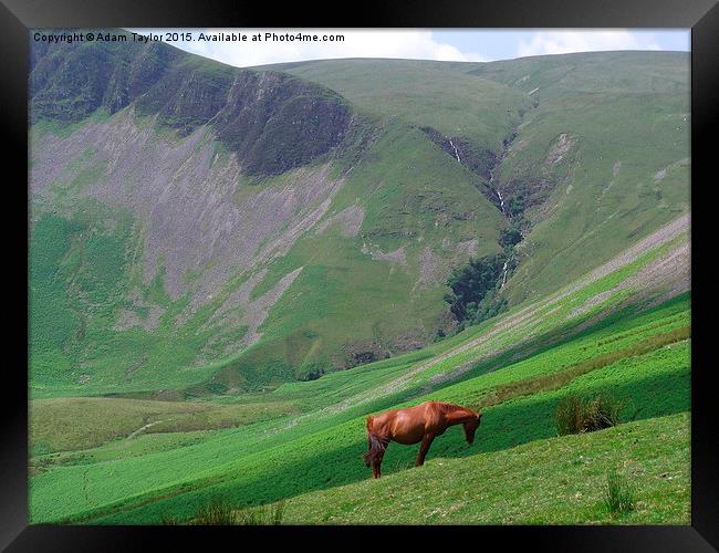  Horse at Cautley spout Framed Print by Adam Taylor