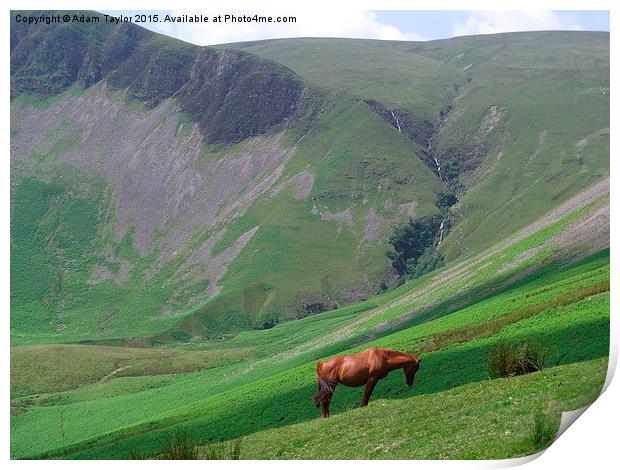  Horse at Cautley spout Print by Adam Taylor