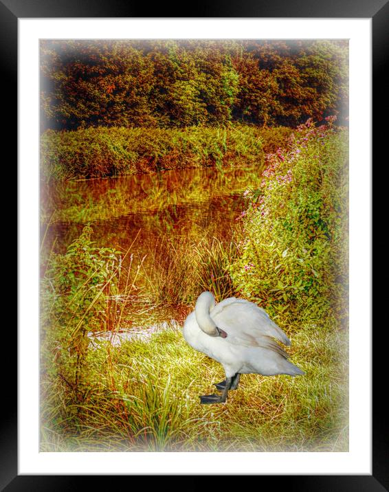 Down by the River. Framed Mounted Print by Heather Goodwin