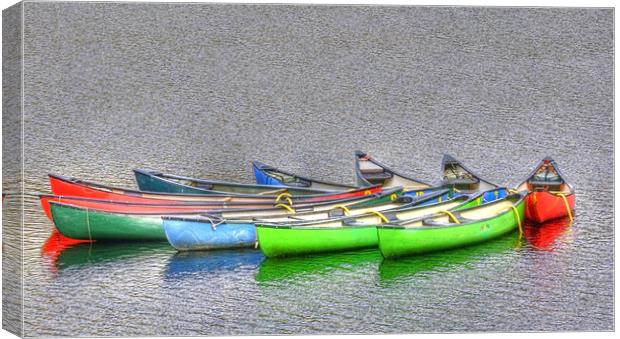 Canoes Canoes and more Canoes Canvas Print by Mike Gorton