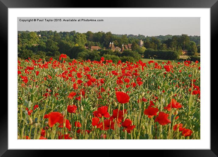  scenic summer Framed Mounted Print by Paul Taylor