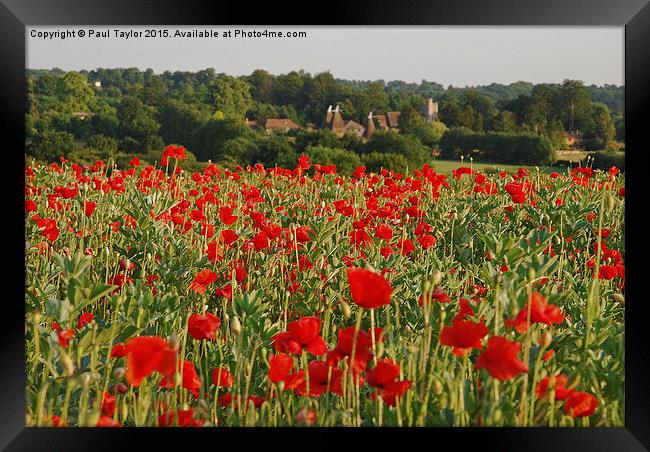  scenic summer Framed Print by Paul Taylor