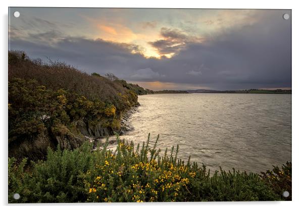  River Taw sunrise Acrylic by Dave Wilkinson North Devon Ph
