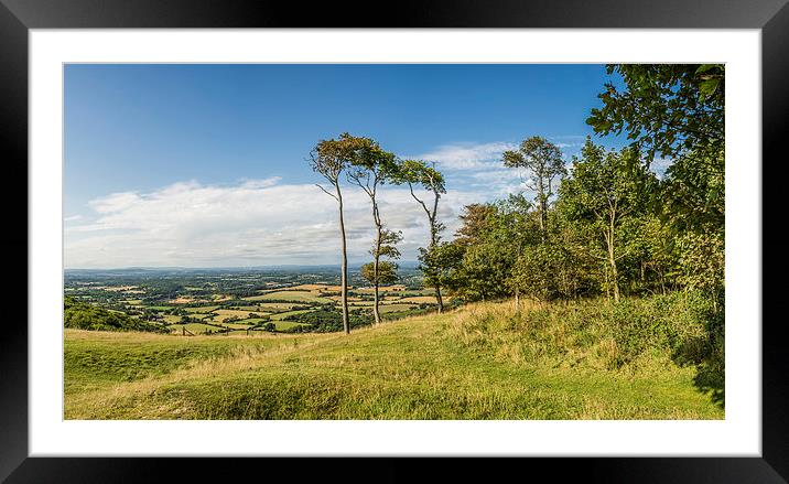 Three Trees Panorama Framed Mounted Print by Malcolm McHugh