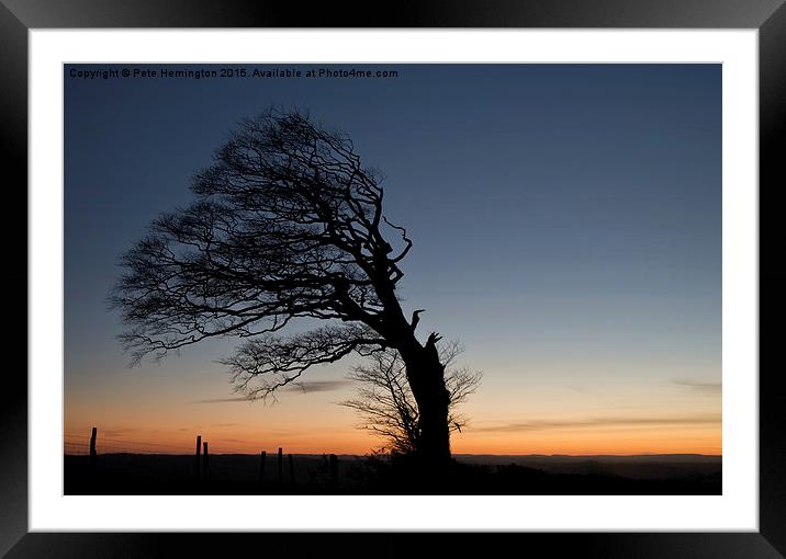 Half a tree on Raddon Top Framed Mounted Print by Pete Hemington