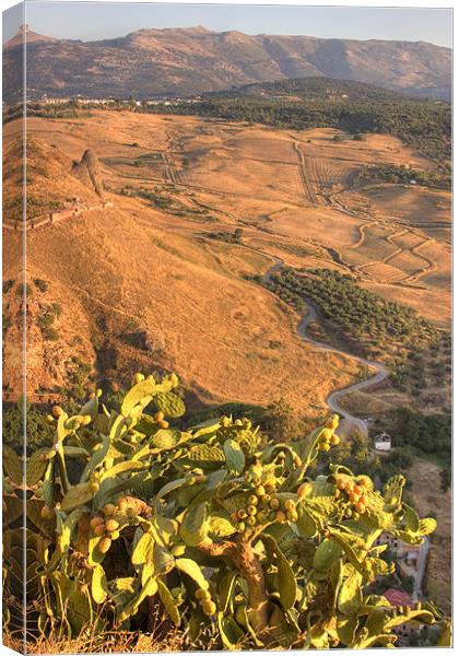 The Ronda Valley, Andalucia, Spain Canvas Print by Ian Middleton