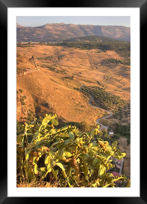 The Ronda Valley, Andalucia, Spain Framed Mounted Print by Ian Middleton