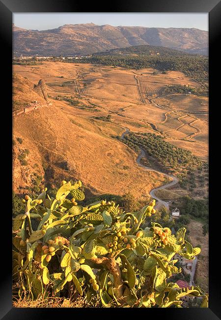 The Ronda Valley, Andalucia, Spain Framed Print by Ian Middleton