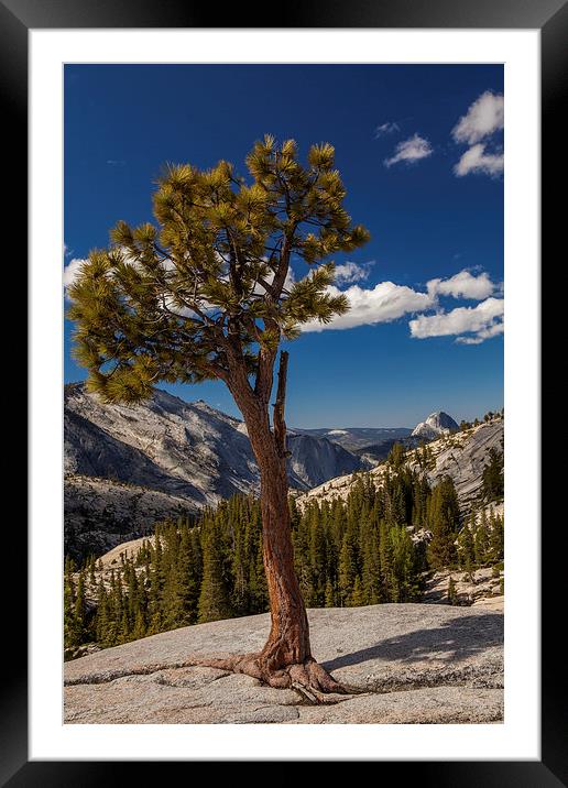 Olmsted Point Framed Mounted Print by Thomas Schaeffer