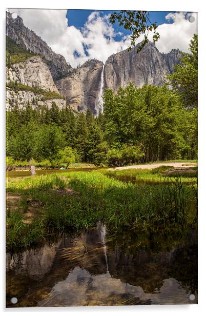 Yosemite Falls Acrylic by Thomas Schaeffer