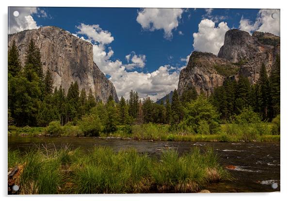Yosemite Valley Acrylic by Thomas Schaeffer