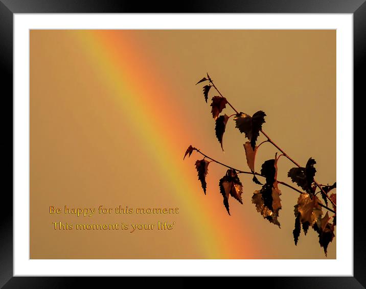 Rainbow and copper Framed Mounted Print by Valerie Anne Kelly