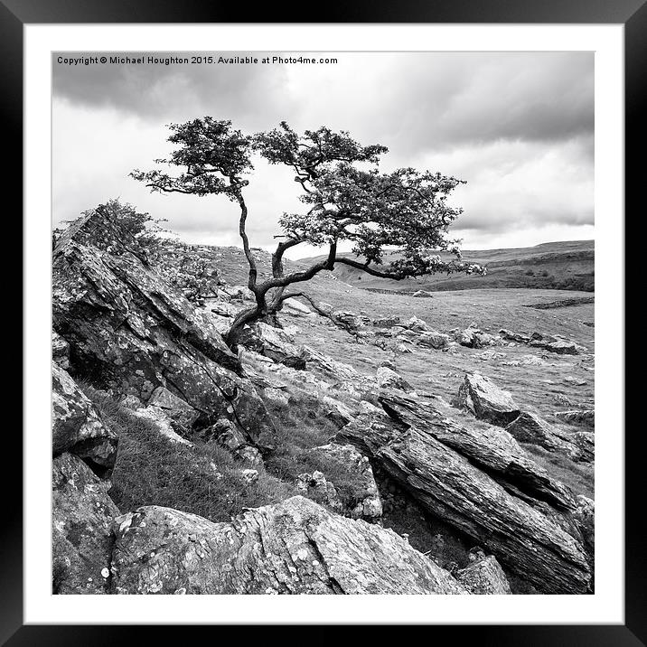Limestone Hawthorn   Framed Mounted Print by Michael Houghton