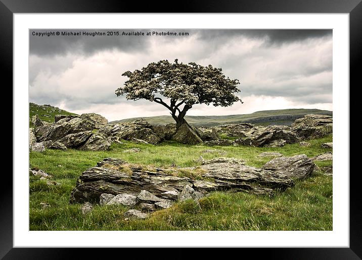  Noreber Hawthorn Framed Mounted Print by Michael Houghton