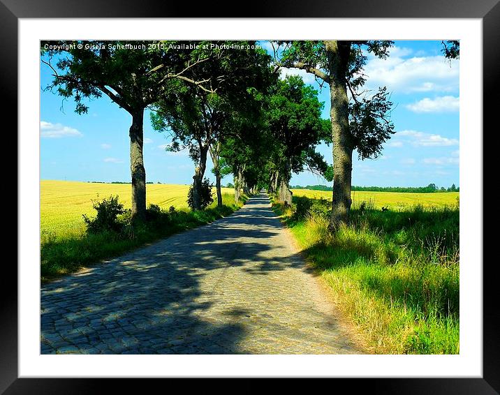  A Small Road on the Masurian Countryside Framed Mounted Print by Gisela Scheffbuch