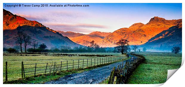 Old Langdale Road Print by Trevor Camp