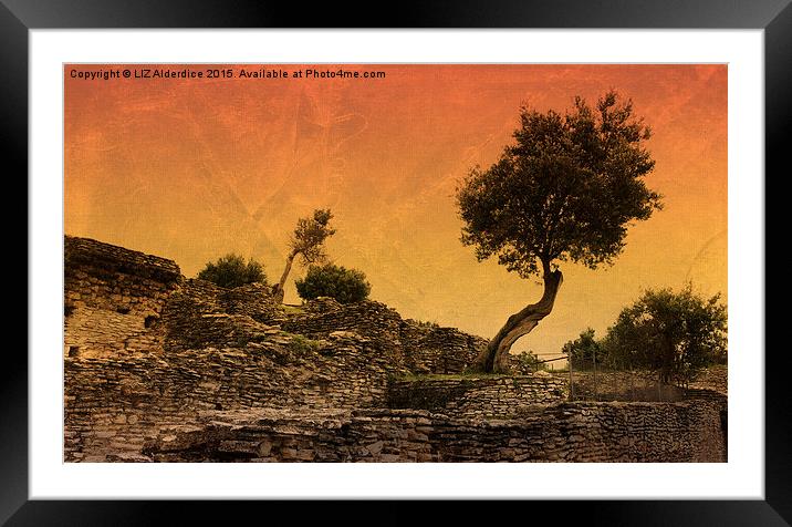 The Olive Tree Framed Mounted Print by LIZ Alderdice