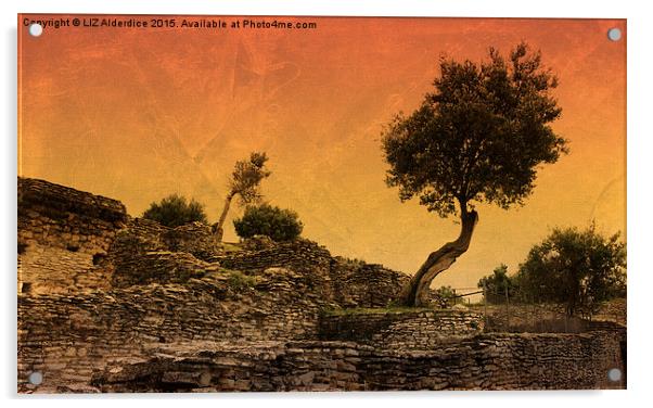  The Olive Tree Acrylic by LIZ Alderdice